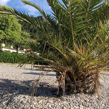 Villa Sabine Apartment Losinj Medveja Eksteriør billede
